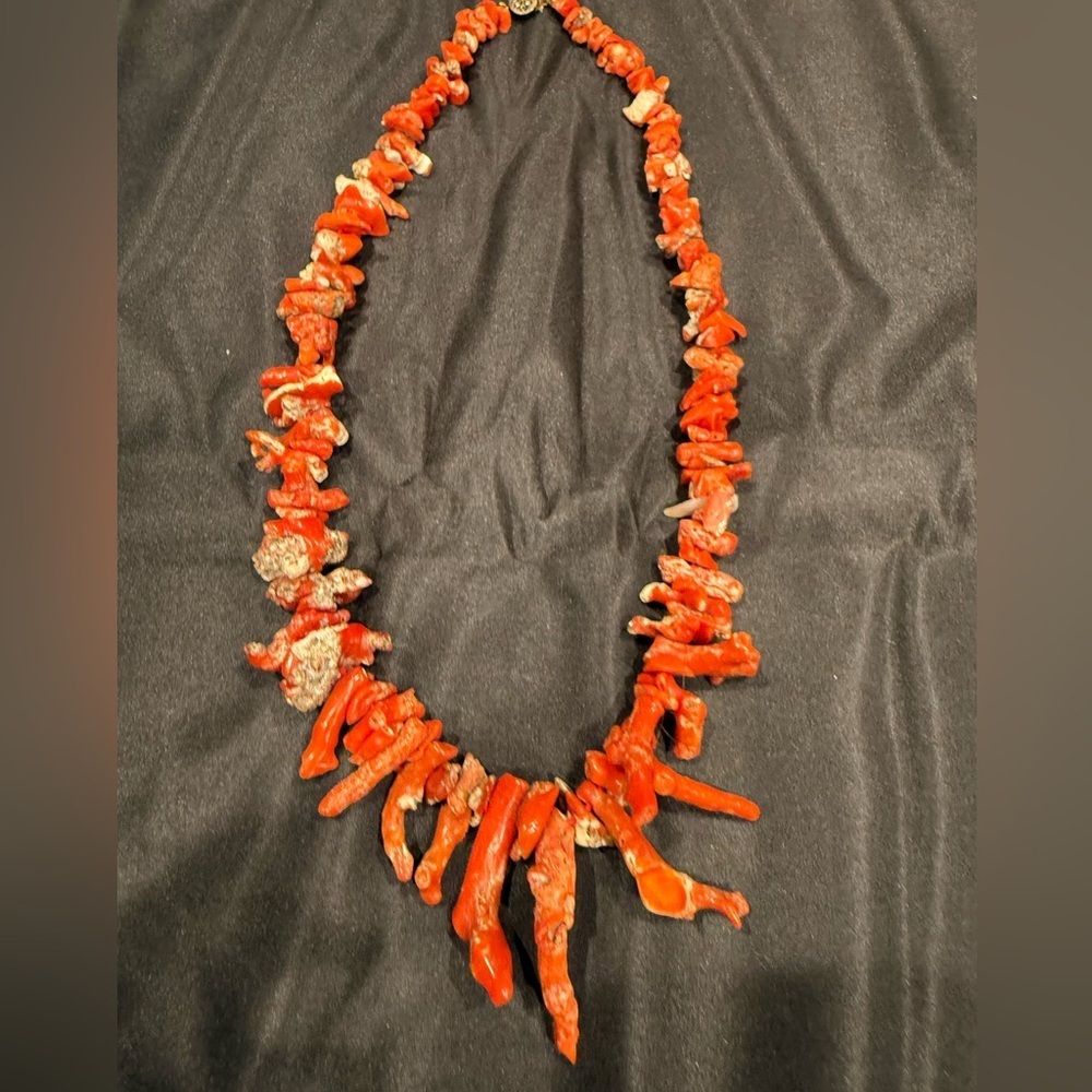 Stunning Natural Coral Branch Necklace- multi stone large organic raw - Picture 1 of 7